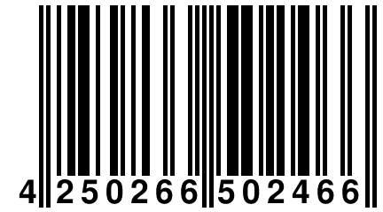 4 250266 502466