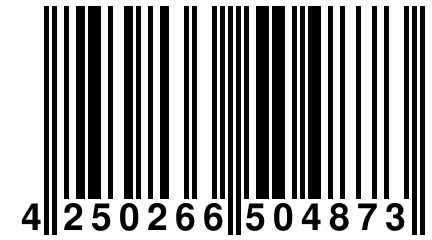 4 250266 504873