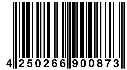 4 250266 900873