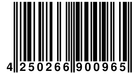 4 250266 900965