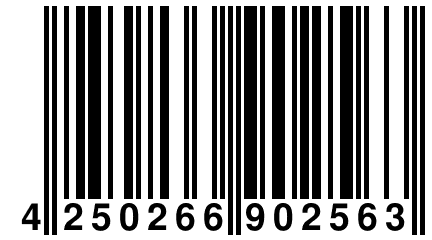 4 250266 902563