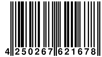4 250267 621678