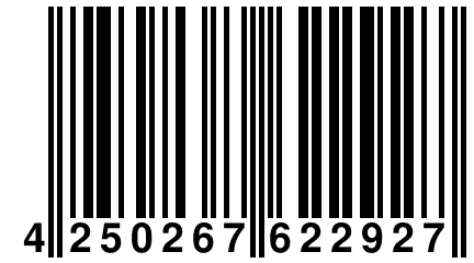 4 250267 622927