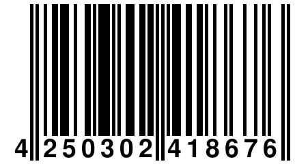 4 250302 418676
