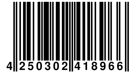 4 250302 418966