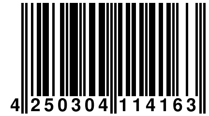 4 250304 114163
