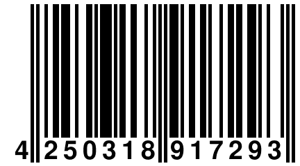 4 250318 917293