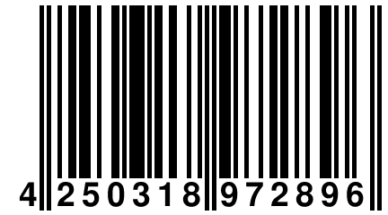 4 250318 972896