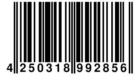 4 250318 992856