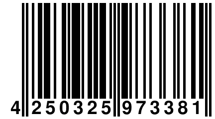 4 250325 973381
