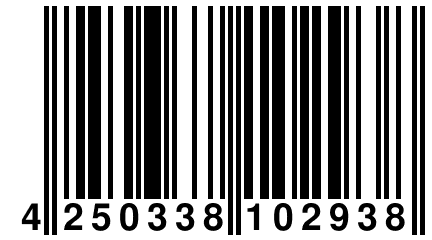 4 250338 102938