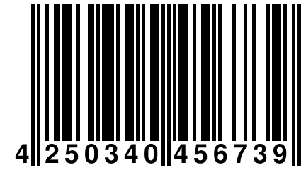 4 250340 456739