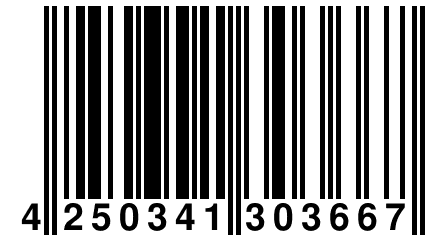 4 250341 303667