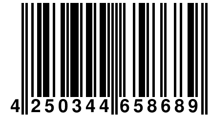 4 250344 658689