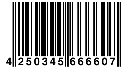 4 250345 666607