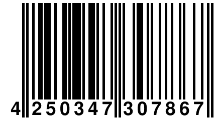 4 250347 307867