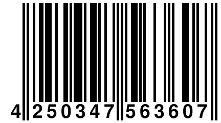 4 250347 563607
