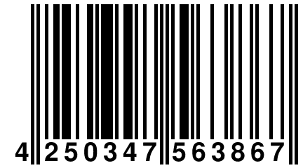 4 250347 563867