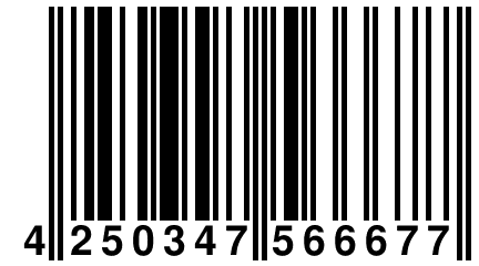 4 250347 566677