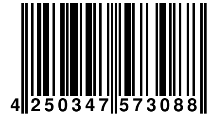 4 250347 573088