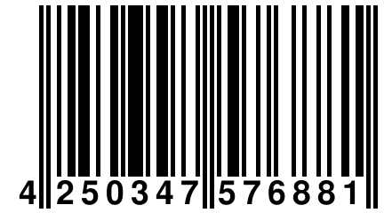 4 250347 576881