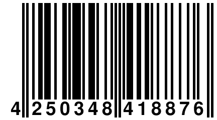 4 250348 418876