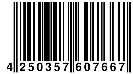 4 250357 607667