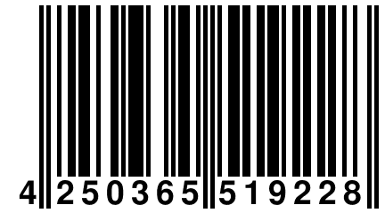 4 250365 519228