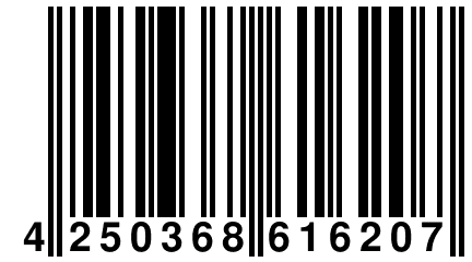4 250368 616207