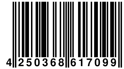 4 250368 617099