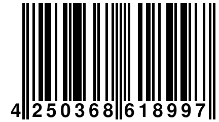 4 250368 618997