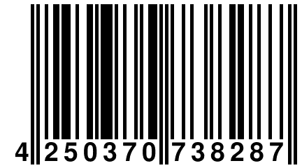 4 250370 738287