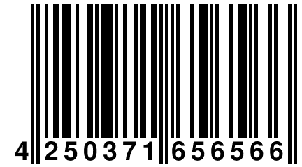 4 250371 656566
