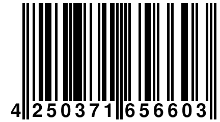 4 250371 656603