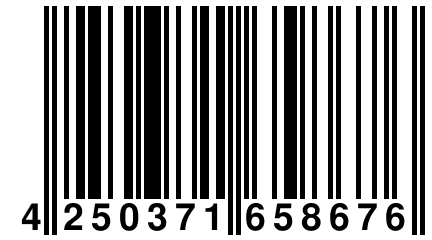 4 250371 658676