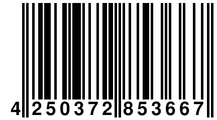 4 250372 853667