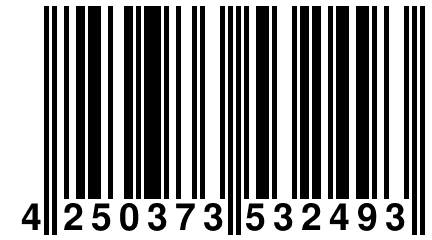 4 250373 532493