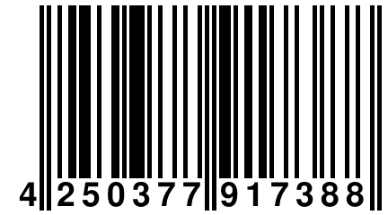 4 250377 917388