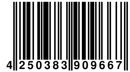 4 250383 909667