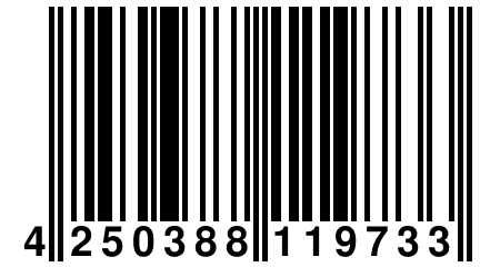 4 250388 119733