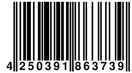 4 250391 863739