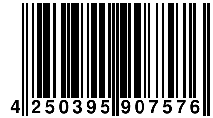 4 250395 907576