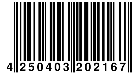 4 250403 202167