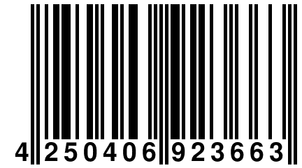 4 250406 923663