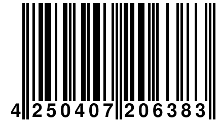 4 250407 206383