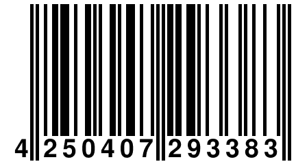 4 250407 293383