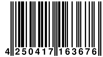 4 250417 163676