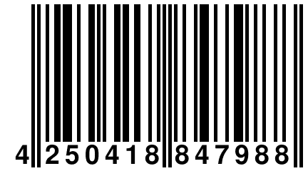 4 250418 847988