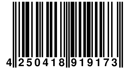 4 250418 919173
