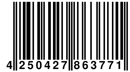 4 250427 863771